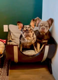 Barrel Dog bed NapaValleyBarrels